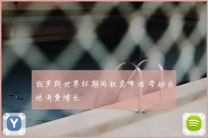 俄罗斯世界杯期间狂卖啤酒 带动当地消费增长