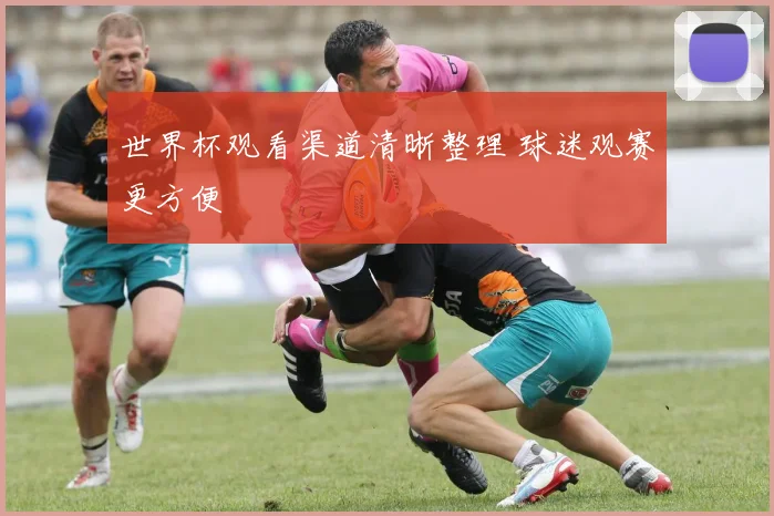 世界杯观看渠道清晰整理 球迷观赛更方便